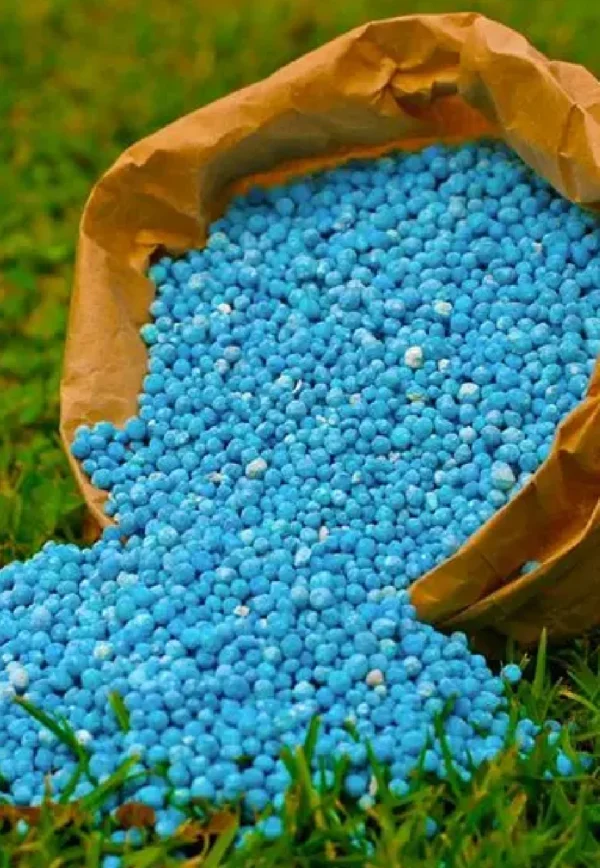 Food Plant Npk Fertilizer 1kg