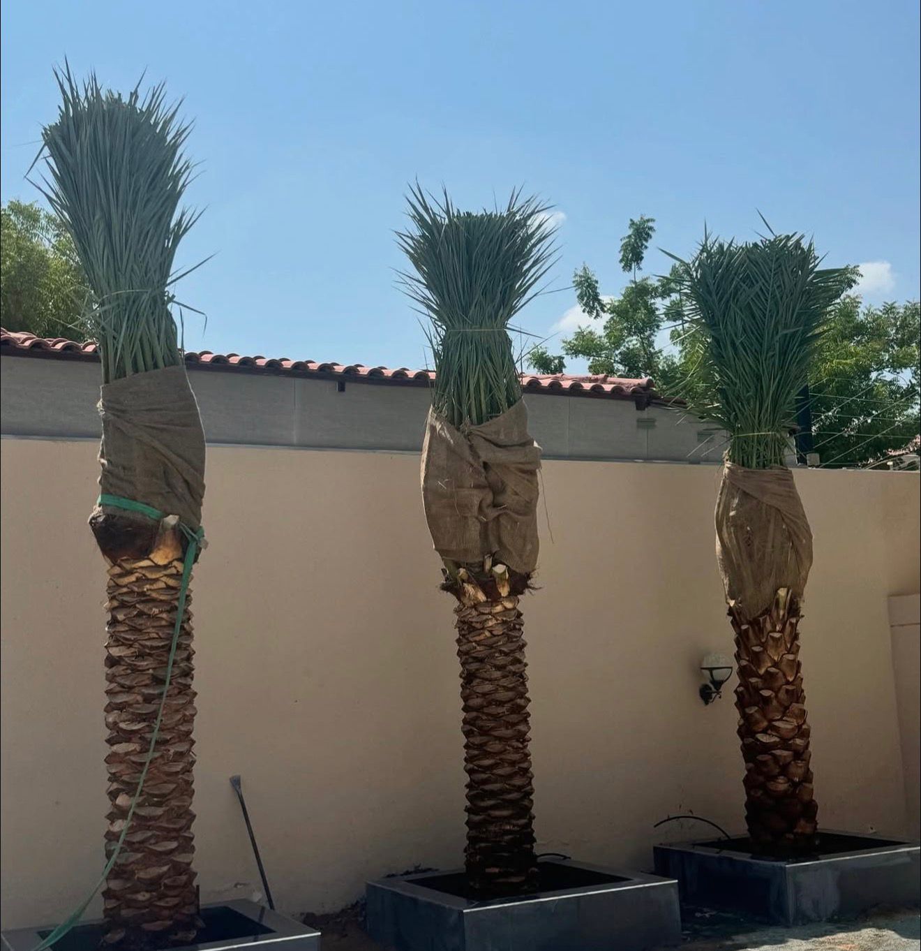 Dubai Hills Estate